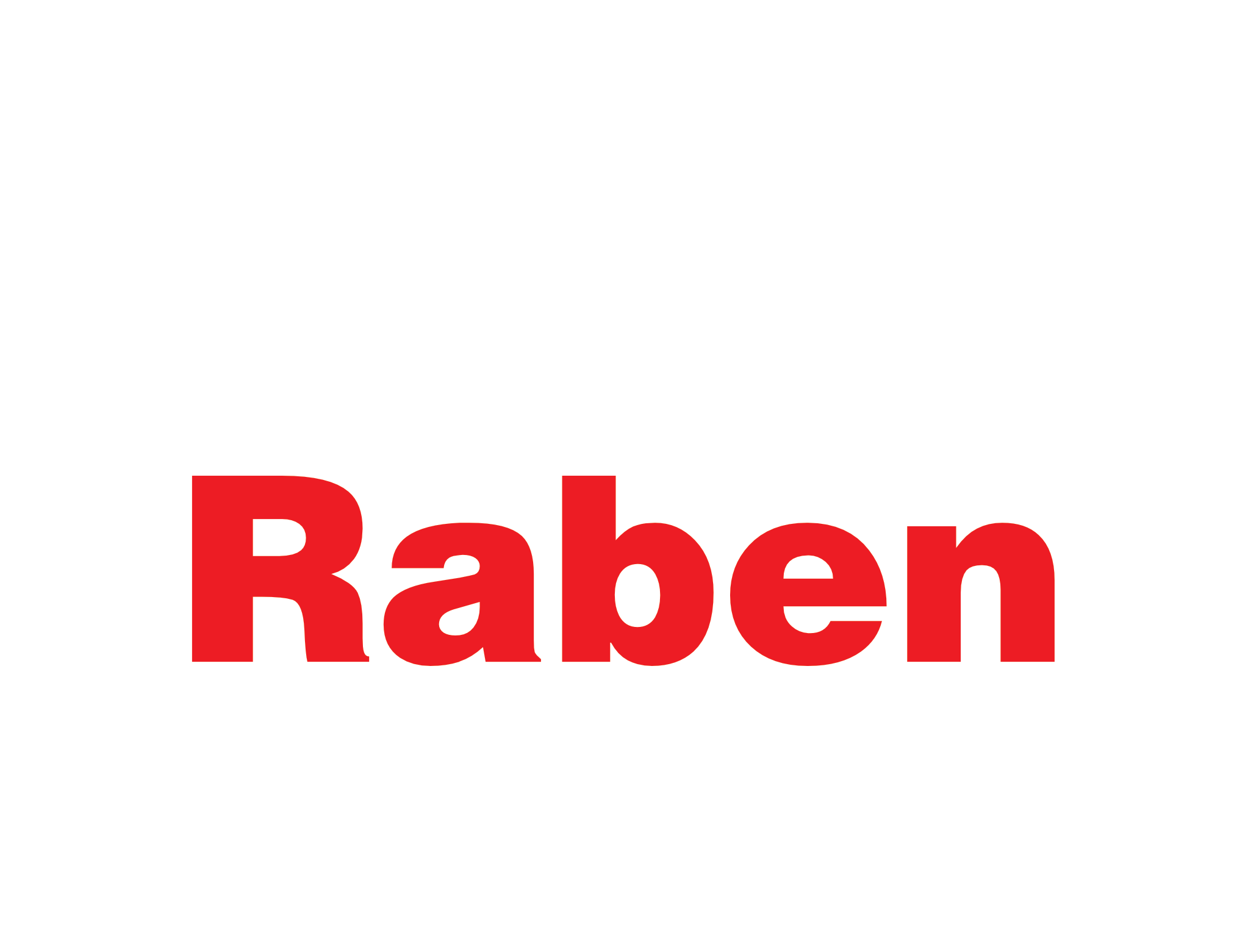 /assets/companies/raben.png